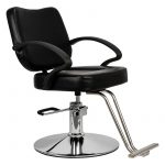 Black Hair Salon Styling Chair Salon Equipment for Sale (10)