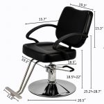 Black Hair Salon Styling Chair Salon Equipment for Sale (12)