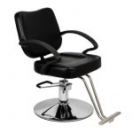 Black Hair Salon Styling Chair Salon Equipment for Sale (2)