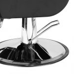 High Quality All Purpose Salon Chair Beauty Spa Chair (11)
