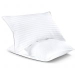 2-Pack Bed Rest Pillow (6)