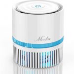 Mini-Air-Purifier-For-Dmoke-3-In-1-Home-Air-Filters-(6)